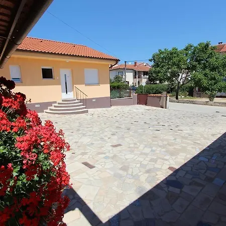 Erik Adults Only ロヴィニ