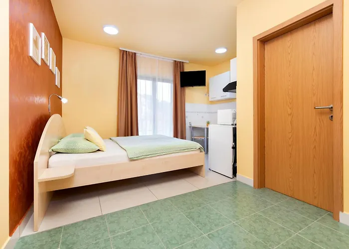 Erik Adults Only 3* Ровинь